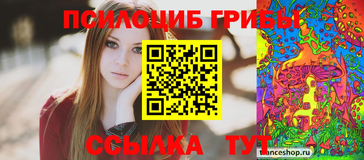 Псилоцибиновые грибы MAGIC MUSHROOMS Камышлов