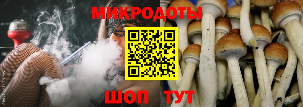 Камышлов  Галлюциногенные грибы GOLDEN TEACHER  Вход с VPN 